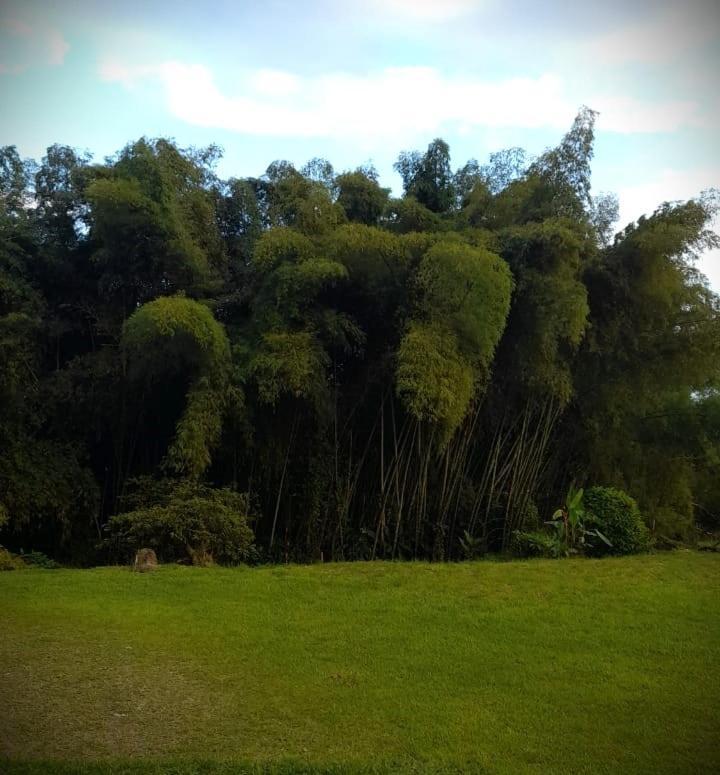 Filandia - Finca Rural La Guadalupana酒店 外观 照片
