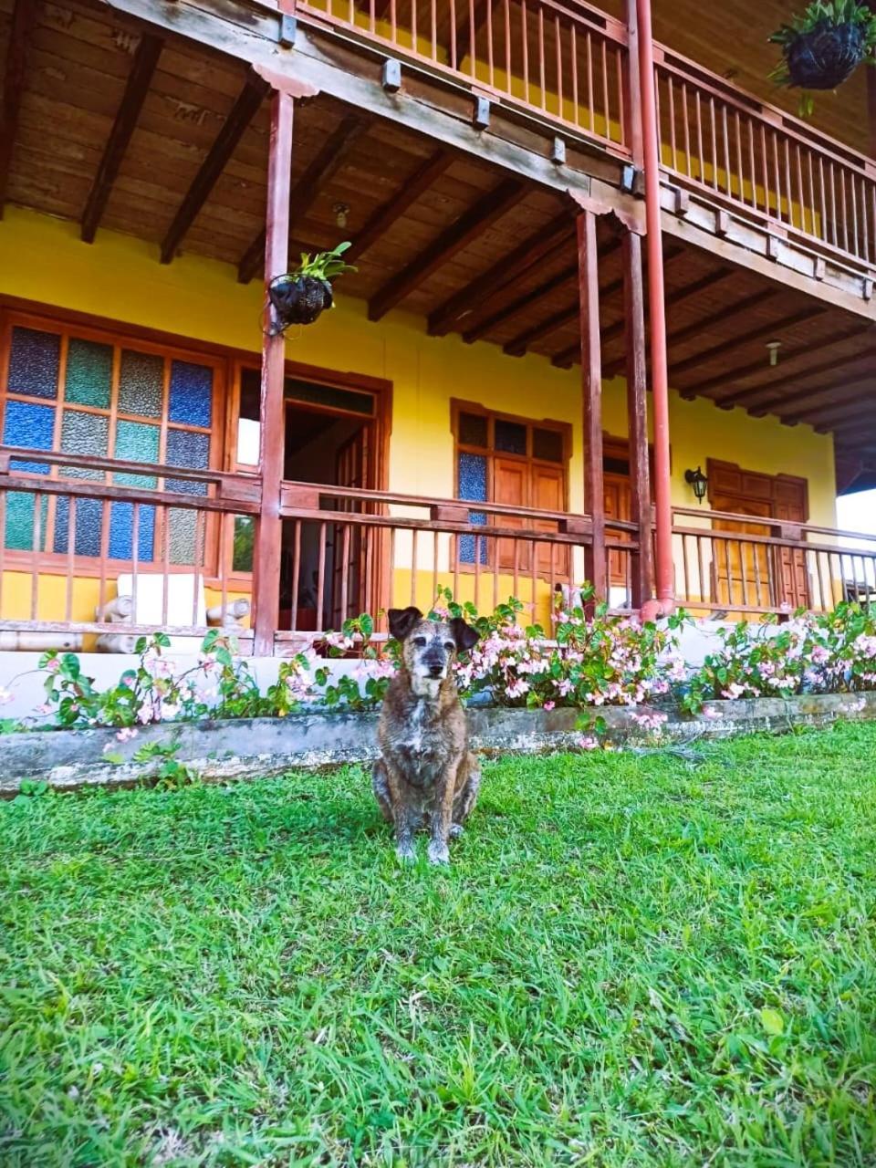 Filandia - Finca Rural La Guadalupana酒店 外观 照片