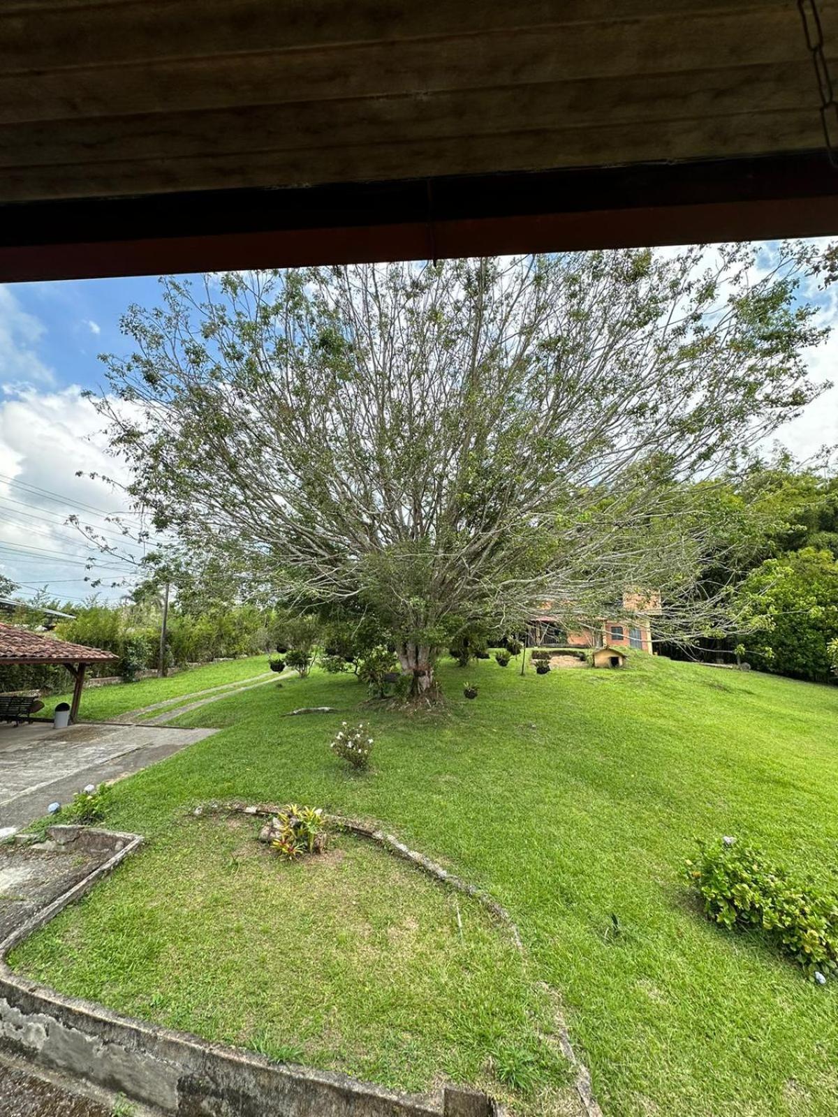 Filandia - Finca Rural La Guadalupana酒店 外观 照片