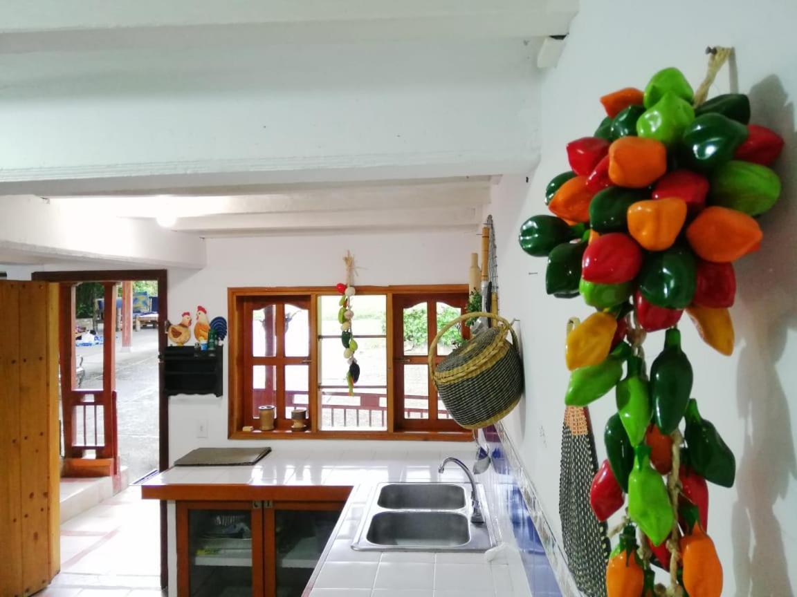 Filandia - Finca Rural La Guadalupana酒店 外观 照片